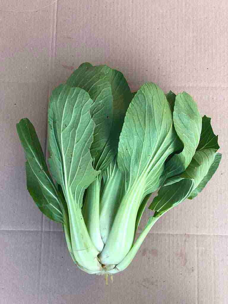 cesta organica bok choy