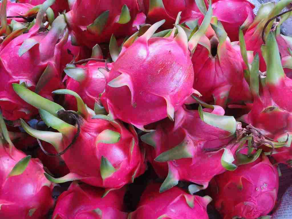 cesta organica pitayas