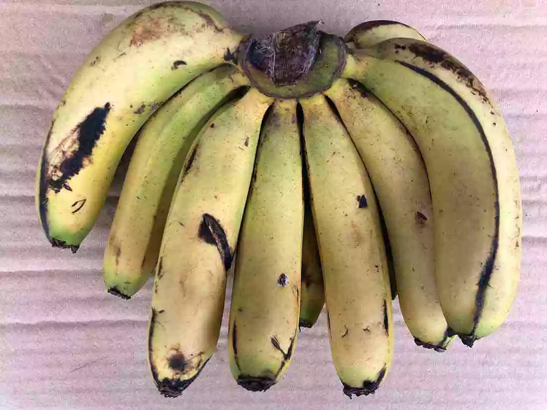cesta organica banana nanica - magnésio