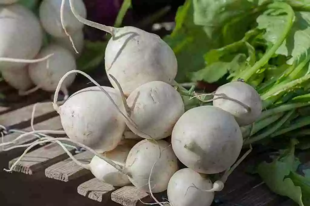 cesta organica nabos na mesa