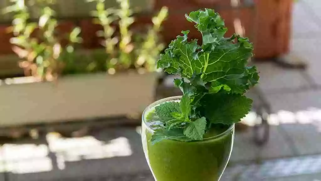 cesta organica suco verde couve kale