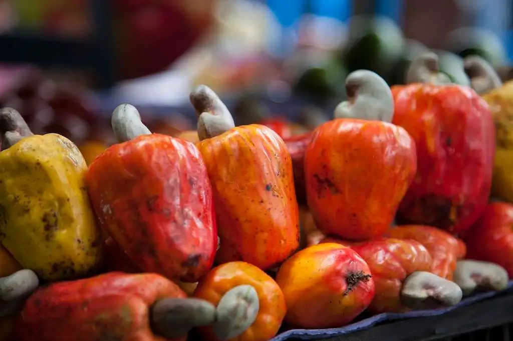 cesta organica fruta caju